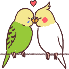 Parakeet Chirps By Natsumi