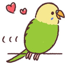 parakeet chirps sticker #14607854