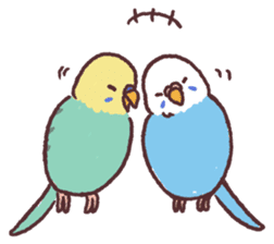 parakeet chirps sticker #14607855