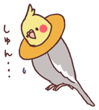parakeet chirps sticker #14607860