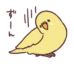 parakeet chirps sticker #14607861