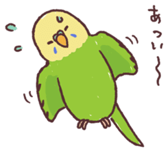 parakeet chirps sticker #14607865