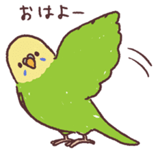 parakeet chirps sticker #14607878