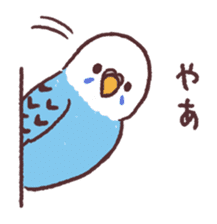 parakeet chirps sticker #14607879