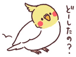 parakeet chirps sticker #14607887