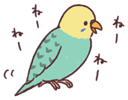 parakeet chirps sticker #14607888