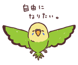 parakeet chirps sticker #14607892