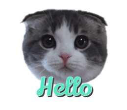 mamechiyo's 9cats family sticker #14609310