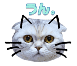 mamechiyo's 9cats family sticker #14609313
