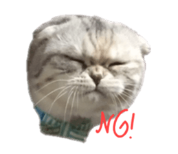 mamechiyo's 9cats family sticker #14609315