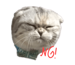 mamechiyo's 9cats family sticker #14609315