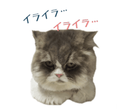 mamechiyo's 9cats family sticker #14609317