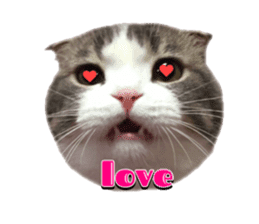 mamechiyo's 9cats family sticker #14609318