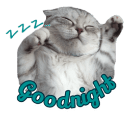 mamechiyo's 9cats family sticker #14609321