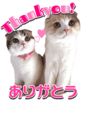 mamechiyo's 9cats family sticker #14609322