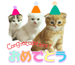 mamechiyo's 9cats family sticker #14609324