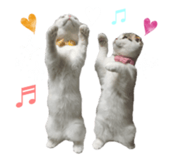 mamechiyo's 9cats family sticker #14609325