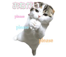 mamechiyo's 9cats family sticker #14609327