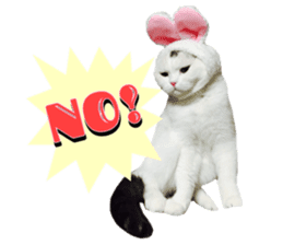 mamechiyo's 9cats family sticker #14609330