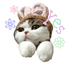 mamechiyo's 9cats family sticker #14609331