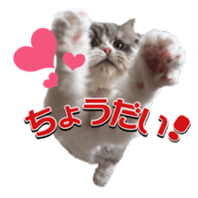 mamechiyo's 9cats family sticker #14609333