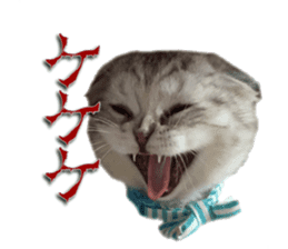 mamechiyo's 9cats family sticker #14609334
