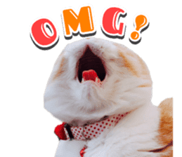 mamechiyo's 9cats family sticker #14609335