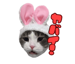 mamechiyo's 9cats family sticker #14609336