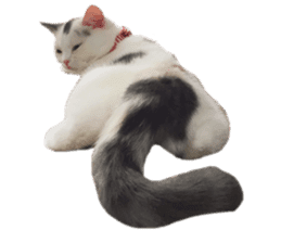 mamechiyo's 9cats family sticker #14609338