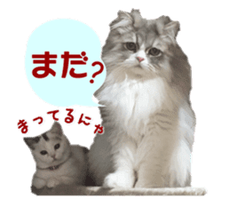 mamechiyo's 9cats family sticker #14609341
