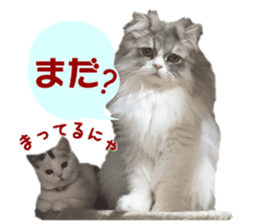 mamechiyo's 9cats family sticker #14609341