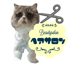 mamechiyo's 9cats family sticker #14609342