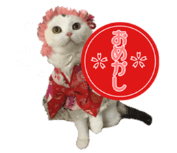 mamechiyo's 9cats family sticker #14609344