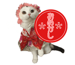 mamechiyo's 9cats family sticker #14609344