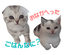 mamechiyo's 9cats family sticker #14609345