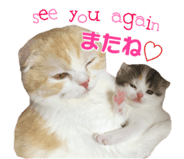 mamechiyo's 9cats family sticker #14609349