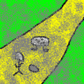 His adventure2 sticker #14609674