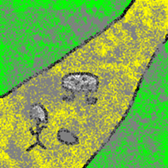 His adventure2 sticker #14609675