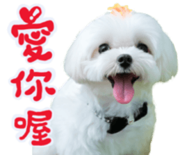 Small meat bag & mocha mischief diary sticker #14610728