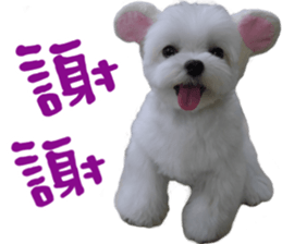 Small meat bag & mocha mischief diary sticker #14610729