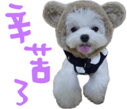 Small meat bag & mocha mischief diary sticker #14610730