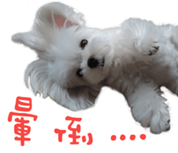 Small meat bag & mocha mischief diary sticker #14610733