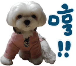 Small meat bag & mocha mischief diary sticker #14610740