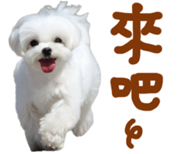 Small meat bag & mocha mischief diary sticker #14610742