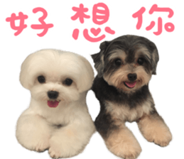 Small meat bag & mocha mischief diary sticker #14610743