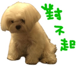 Small meat bag & mocha mischief diary sticker #14610748