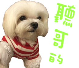 Small meat bag & mocha mischief diary sticker #14610749