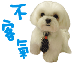 Small meat bag & mocha mischief diary sticker #14610752