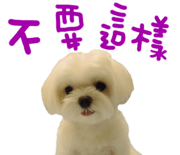 Small meat bag & mocha mischief diary sticker #14610753