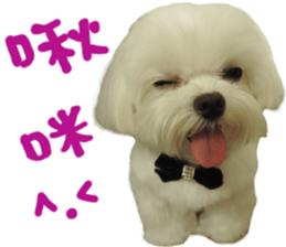 Small meat bag & mocha mischief diary sticker #14610754